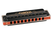 Professional Blues Harmonica in C Diatonic