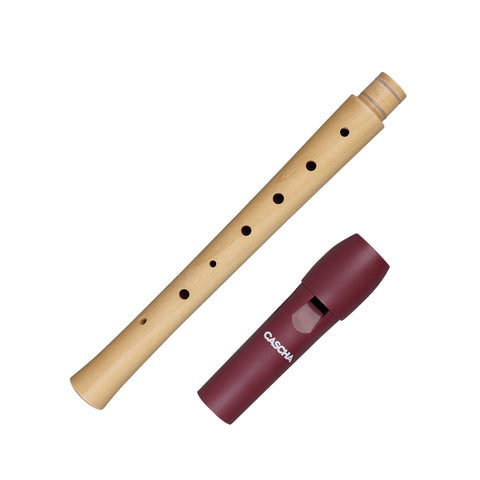Soprano Recorder Student - German Fingering