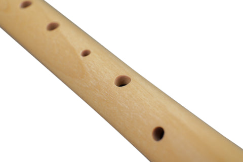 Soprano Recorder Student - German Fingering