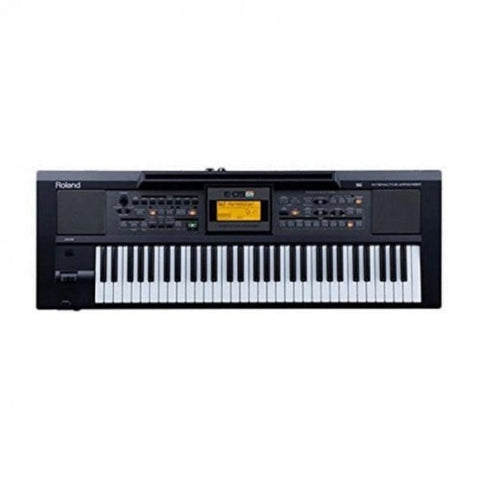 Roland E-09IN Indian Edition Interactive Arranger Keyboard