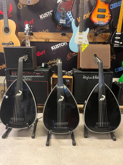 Professional Electric Oud – Rajab Iengam