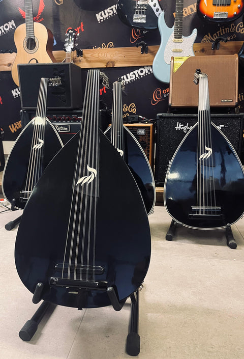 Professional Electric Oud – Rajab Iengam