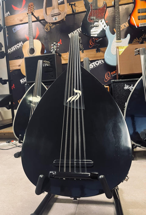 Professional Electric Oud – Rajab Iengam