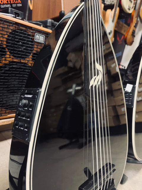 Professional Electric Oud – Rajab Iengam